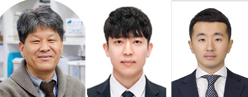 ▲ 왼쪽부터 가톨릭대 바이오메디컬화학공학과 나건 교수, 강민호 교수, 한양대 신소재공학과 정현도 교수.ⓒ가톨릭대