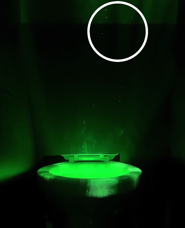 ▲ ⓒ유한킴벌리