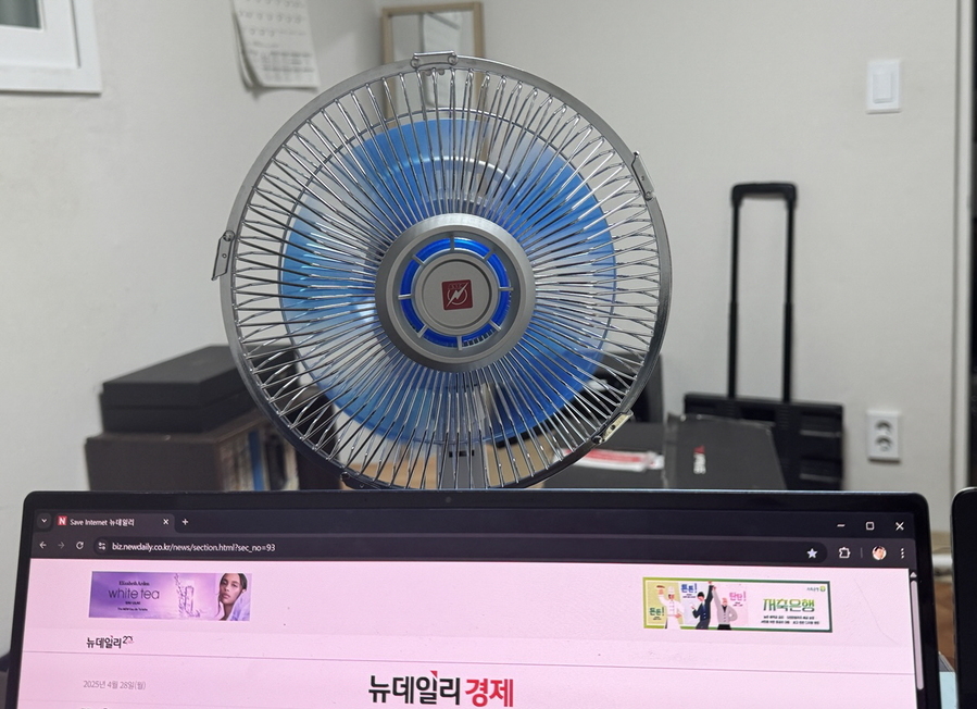 ▲ 미풍으로 해도 강한 바람이 불었다. ⓒ김재홍 기자