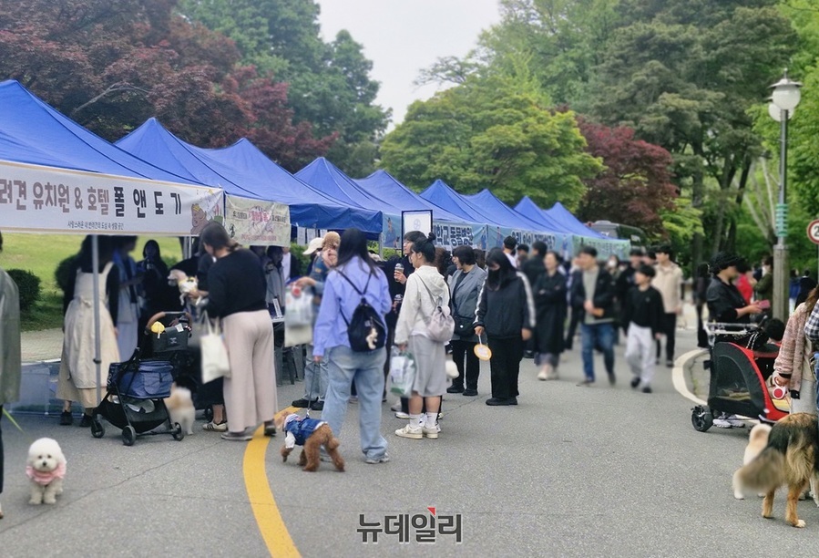 ▲ 충북대학교 동물병원과 수의과대학 학생회가 주최·주관하는 ‘제34회 반려동물 한마당’이 5월 5일 충북대학교 야외공연장(탈마당)에서 열렸다.ⓒ양승갑 기자