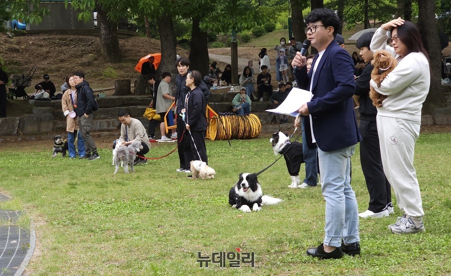 ▲ 나야? 먹이야? 게임에 출전한 반려견들.ⓒ김정원 기자