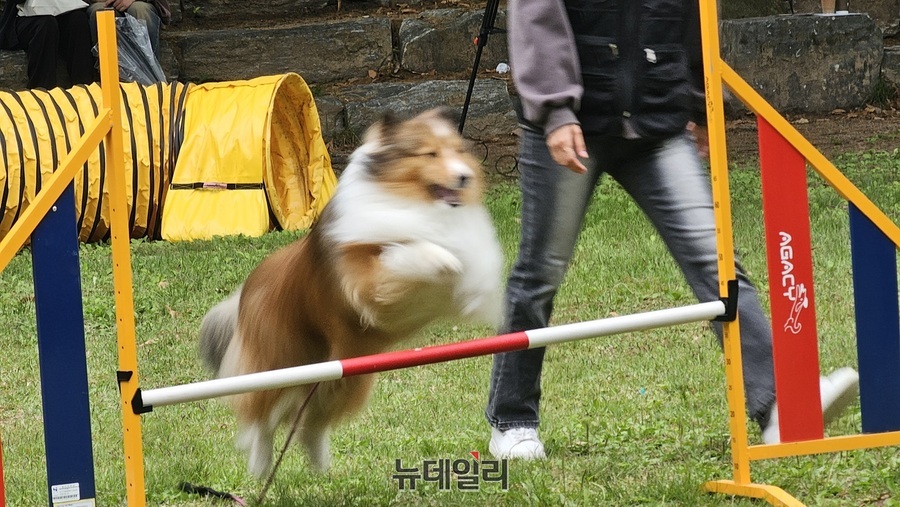 ▲ 장애물 넘기 게임.ⓒ김정원 기자