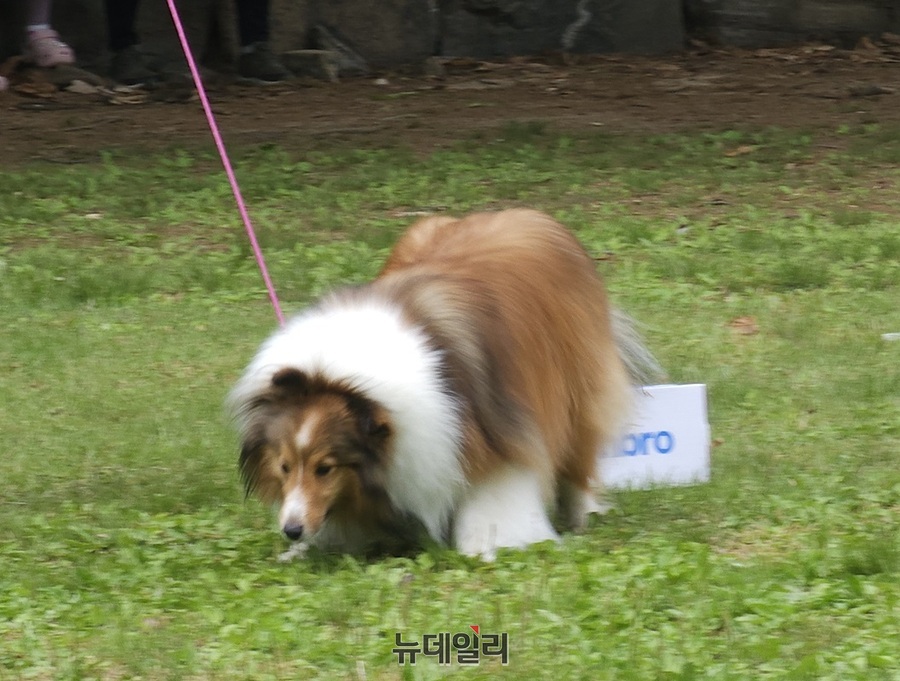 ▲ 커피향 박스 찾기 게임.ⓒ김정원 기자
