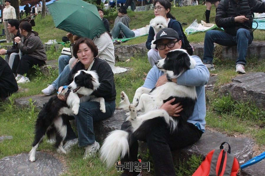 ▲ 2025 충북대학교 제34회 반려동물 한마당이 어린이날인 지난 5일 충북대학교 야외공연장에서 1천여명의 반려견 가족이 참석한 가운데 성황리 치러졌다. 반려동물 한마당에 참석한 한 부부가 각각 1마리씩 대형견을 안고 있다.ⓒ뉴데일리