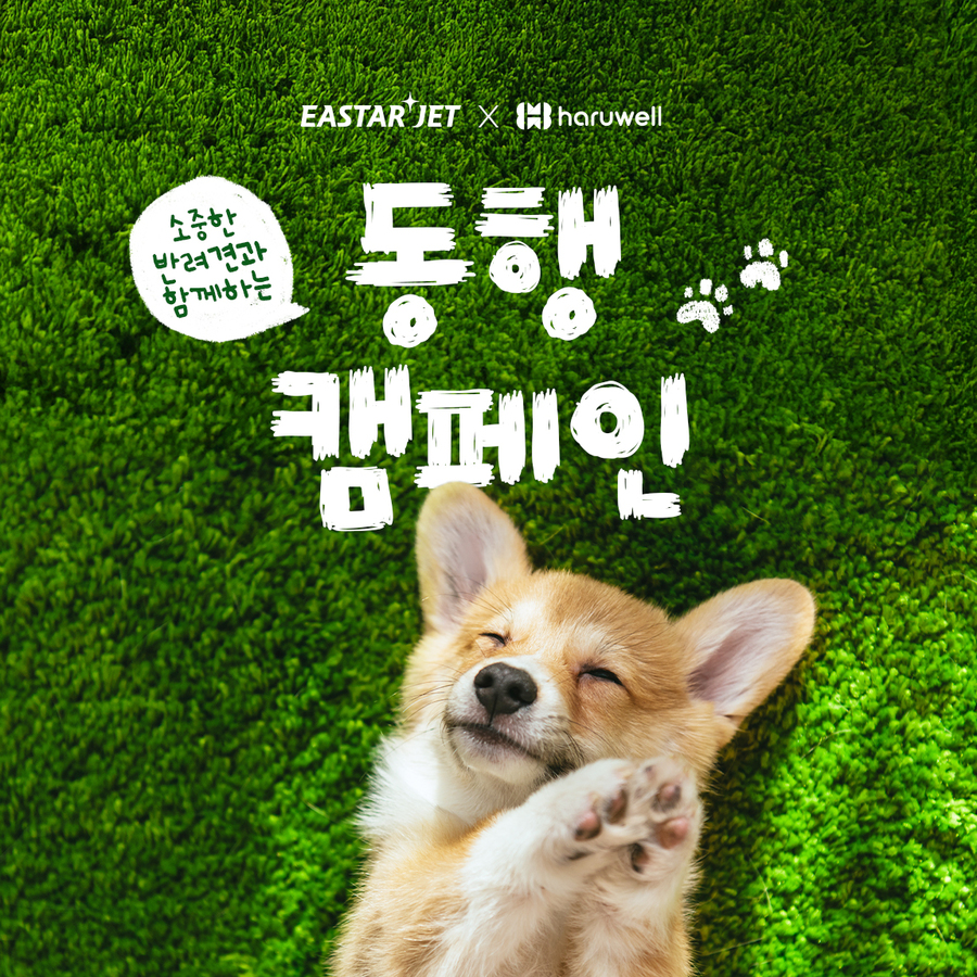 ▲ ⓒ이스타항공