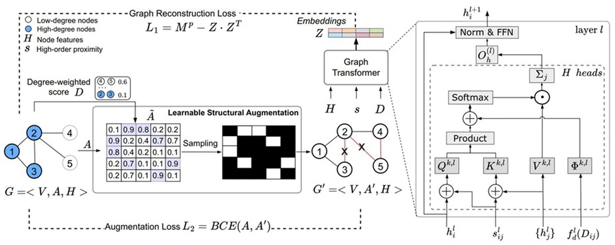 ▲ 차수 편향 문제 해결을 위해 개발된 DegFairGT 모델의 구조와 학습 가능한 구조적 증강 및 구조적 자기 어텐션 메커니즘의 개요도.ⓒ가톨릭대