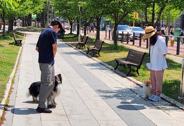 ▲ 방문교육 선정 대상자(오른쪽)가 성남시 반려동물 행동교정 교육 상담을 받고 있는 모습. ⓒ성남시 제공