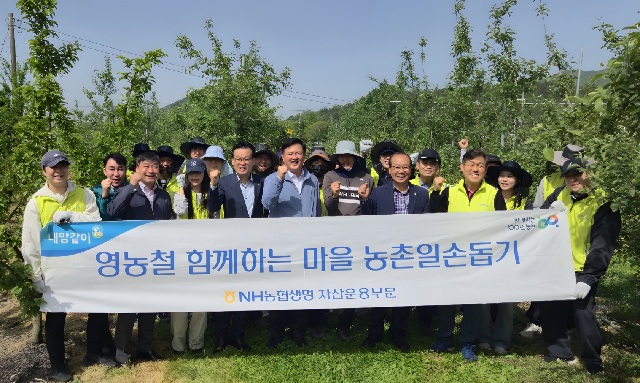 ▲ NH농협생명이 8일 충북 증평군 증평농협 관내 농가를 찾아 농촌일손돕기를 실시했다.ⓒNH농협생명