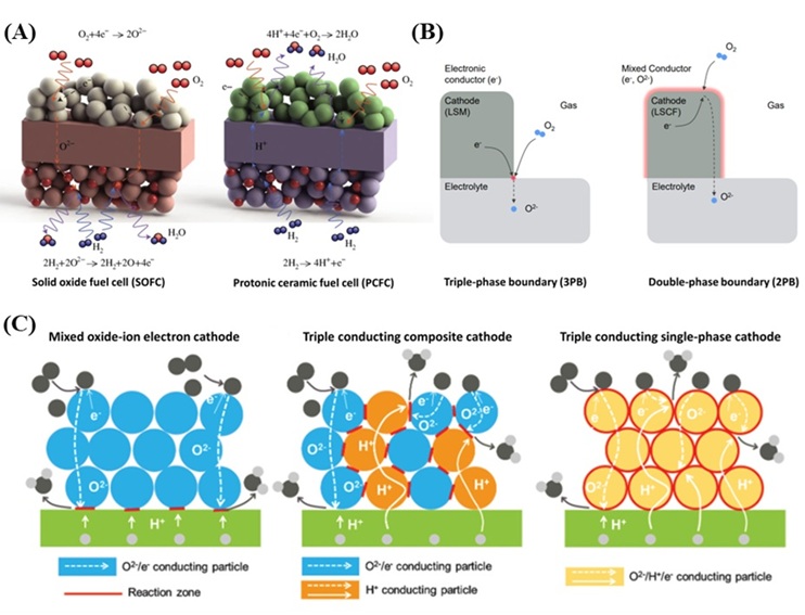 ▲ 고체산화물 연료전지의 종류 및 전기화학적 반응 경로 개략도.ⓒ성균관대