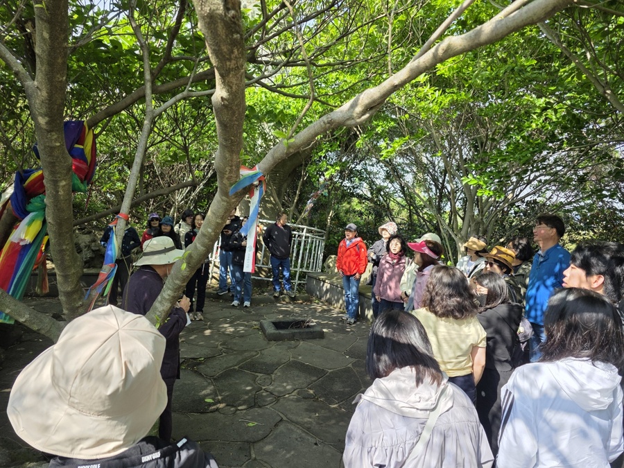▲ 제주융합과학연구원이 실시한 초등학교 4학년 사회과 보완 교재 ‘아름다운 제주특별자치도’활용 역량 강화 직무연수 참가자들이 연수에 임하고 있다. ⓒ제주특별자치도교육청 제공