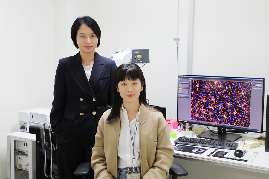 ▲ DGIST(총장 이건우) 뇌과학과(시냅스 다양성 및 특이성 조절연구센터 소속) 엄지원 교수 연구팀이 만성적인 뇌 염증이 반복행동장애를 유발하는 원인과 분자 작동 원리를 규명했다.ⓒDGIST