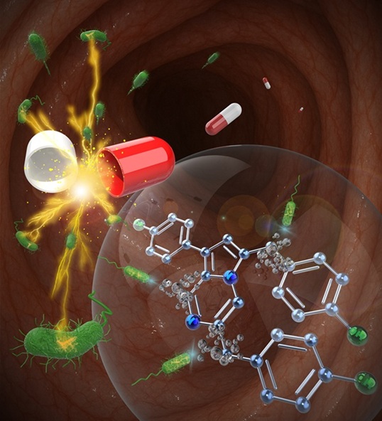 ▲ 에리스로마이신 복용 시 장내미생물이 자극받아 에뉴리스타틴을 생산하는 모식도.ⓒ성균관대