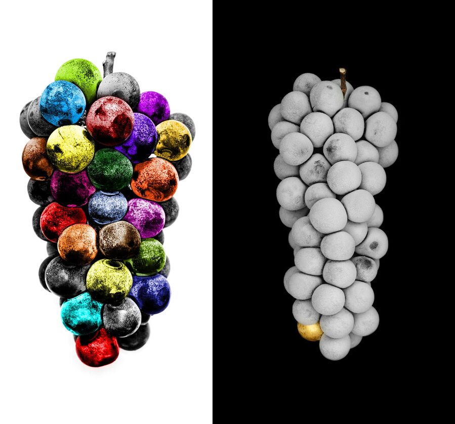 ▲ 갤러리아 센터시티, 고려명 작가의 작품 '포도'ⓒ갤러리아백화점