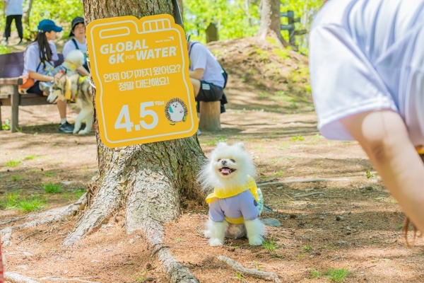 ▲ 댕댕트레킹 사진ⓒ강원랜드