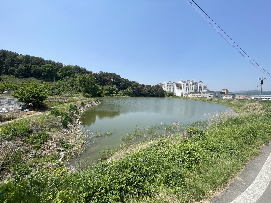 ▲ 청도군(군수 김하수)은 경상북도가 추진한 ‘2025년 맨발걷기길 신규 조성 지원사업’ 신규공모에서 최종 선정되어 사업비 4억원(도비 2억, 군비 2억)을 확보했다.ⓒ청도군