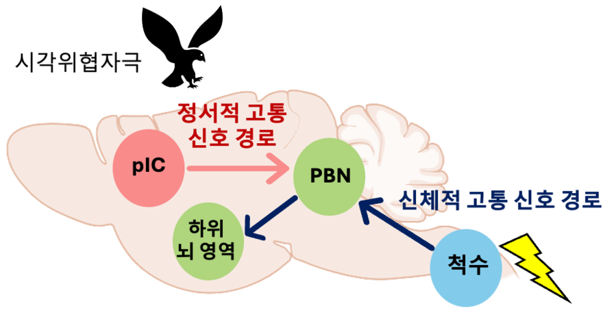 search_img