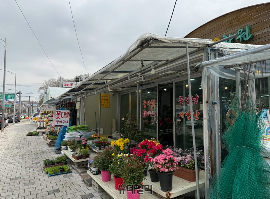 ▲ 서울 강동구 명일동 대형 싱크홀 사고가 발생한 지점 인근에는 꽃집들이 줄지어 있다. 16일 명일동 주민들은 사고 수사 지연에 불안을 호소하고 있다. ⓒ정혜영 기자