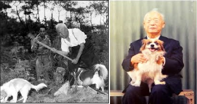 ▲ 애견가로 유명한 이승만 대통령, 경무대 뒷산에서 나무뿌리에 곡괭이질 할때에도 애견들이 주인 옆을 뛰놀고 있다. 오른쪽 사진은 애견 '해피'를 끌어안은 대통령.