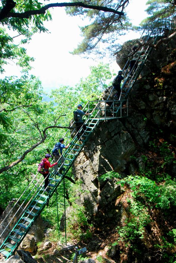 ▲ 팔봉산 6봉을 오르는 계단.ⓒ진경수 山 애호가