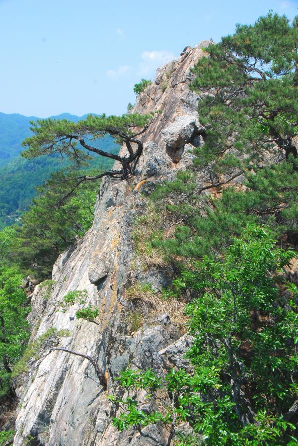 ▲ 팔봉산 7봉.ⓒ진경수 山 애호가