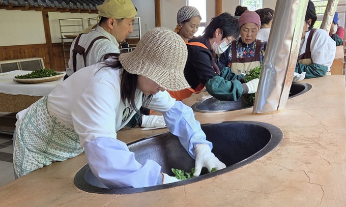 ▲ 제다(製茶)체험하는 학생들.ⓒ원디대