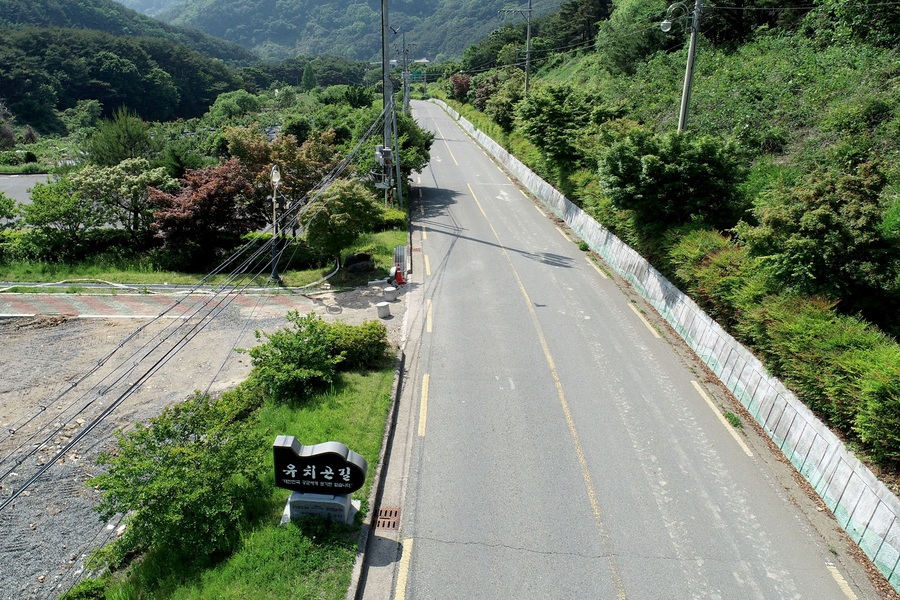 ▲ 대구 달성군(군수 최재훈)은 6·25전쟁 당시 전투기 조종사로 활약한 고(故) 유치곤 장군의 이름을 딴 명예도로명 ‘유치곤길’의 사용기간을 연장했다.ⓒ달성군