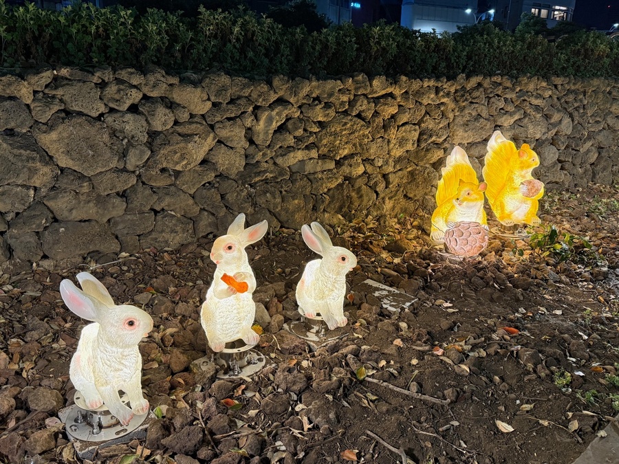 ▲ 제주시 일도1동 고씨주택 일원에 성치된 토끼 조형물 ⓒ제주시 제공