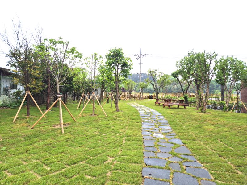 ▲ 도고초등학교 유휴 곻간에 조성된 학교숲.ⓒ아산시