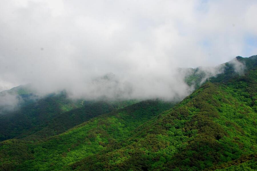 ▲ 구름 속에 숨은 팔공산 주능선.ⓒ진경수 山 애호가