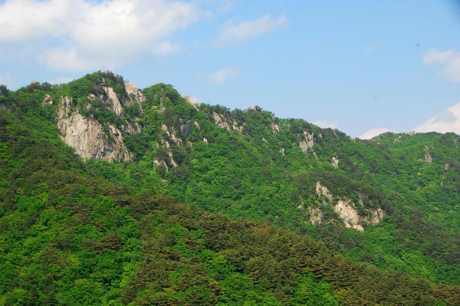 ▲ 팔공산 능선.ⓒ진경수 山 애호가