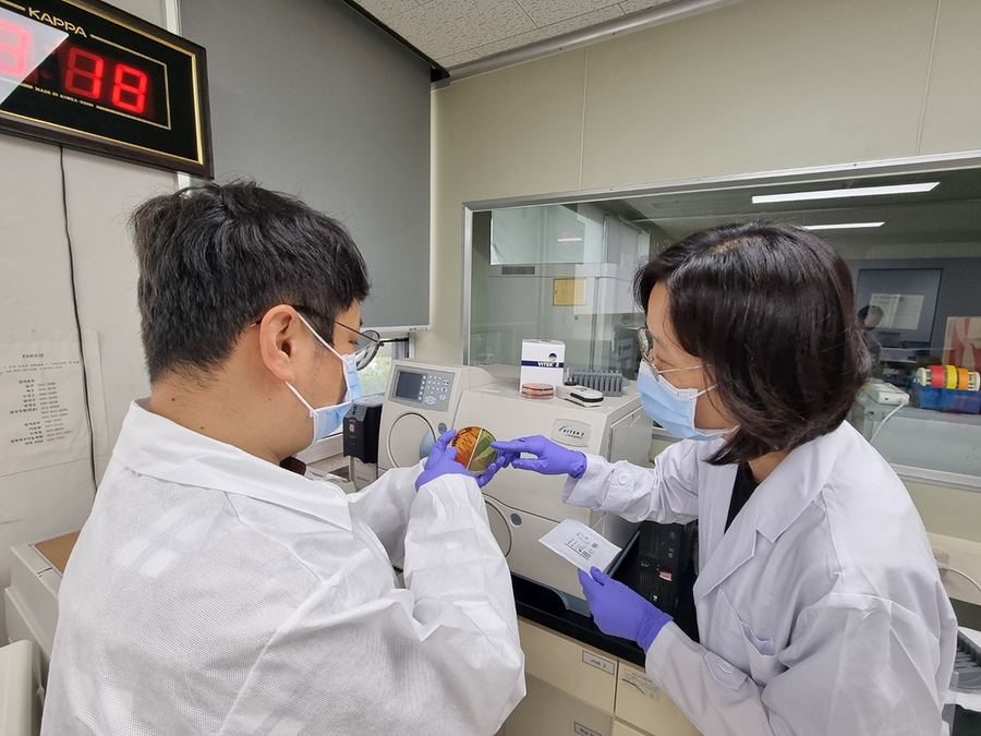 ▲ 대구광역시 보건환경연구원(이하 ‘연구원’)은 여름철 식품 안전사고 예방을 위해 6월 1일부터 9월 30일까지를 ‘도축장 특별위생관리 강화 기간’으로 운영하며 중점 관리에 돌입한다.ⓒ대구시