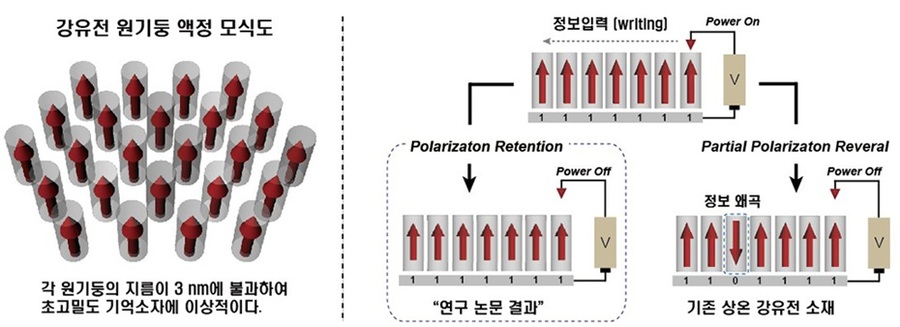 ▲ 강유전 원기둥 액정 모식도.ⓒ단국대