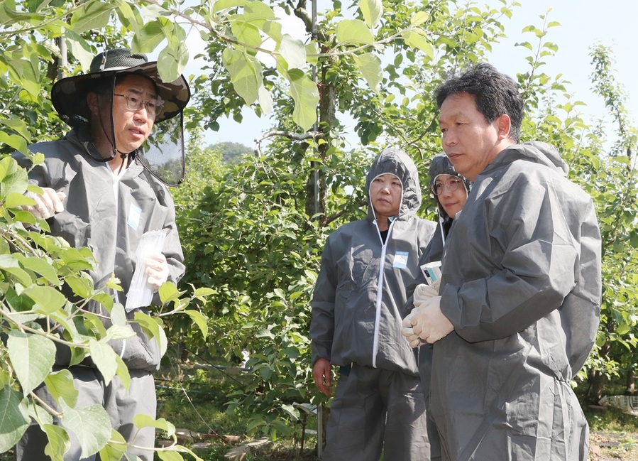 ▲ 신병대 부시장이 지난 26일 상당구 사과 농가에서 과수화상병 증상에 대해 설명을 듣고 있다.ⓒ청주시