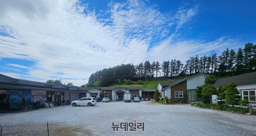 ▲ 경북 울릉군 북면 천부리의 '섬백리향' 공장 전경. 해당 부지의 건축용도외 영리목적으로 미신고 숙박 영업을 해온 사실이 드러나 논란이 일고 있다. ⓒ뉴데일리