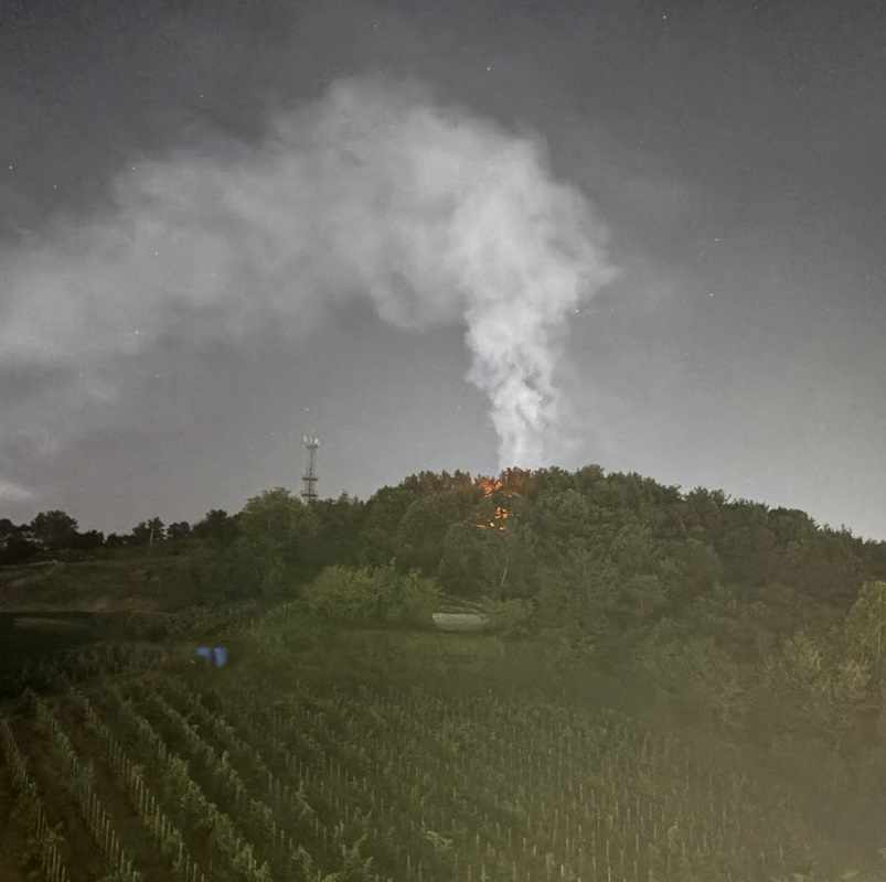 ▲ 예산군 예산읍 주교리 산불 현장.ⓒ산림청