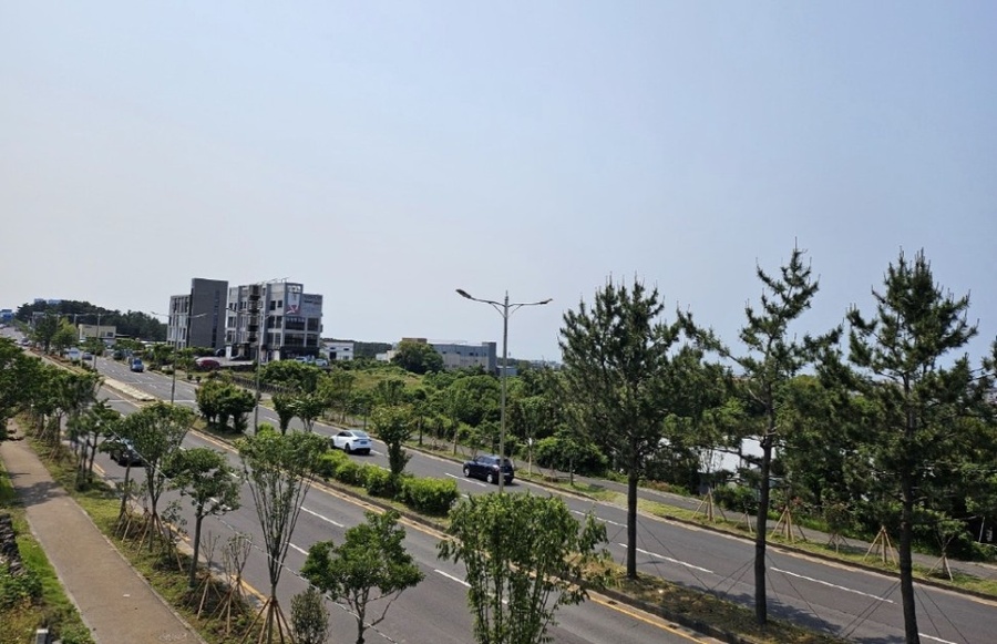 ▲ 제주시가 추진한 연북로 KCTV부터 번영로 교차로까지 7.2km 구간의 ‘연북로 도시바람길숲’전경 ⓒ제주시 제공