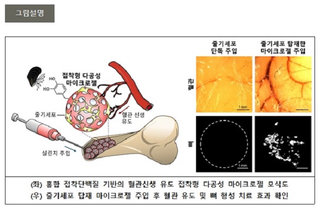 ▲ 연구 관련 그림.ⓒ포스텍