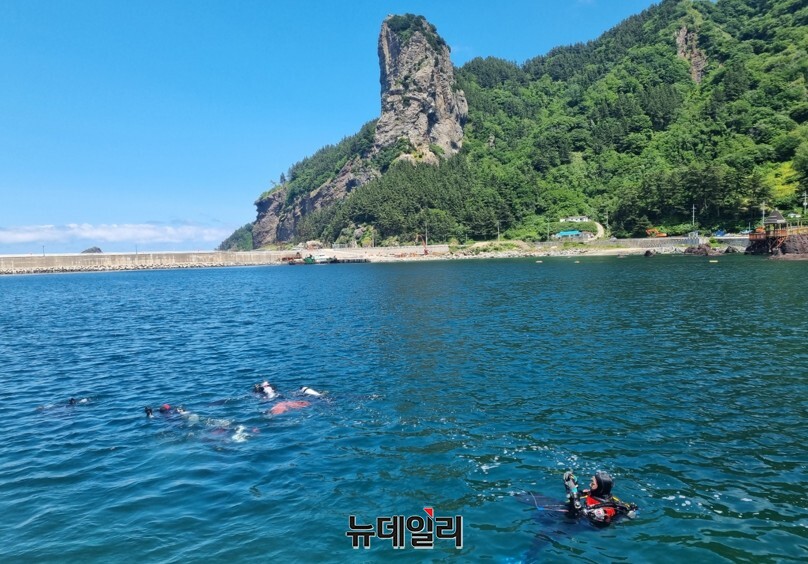 ▲ 울릉특수수난인명구조대원들과 포스코 클린오션봉사단원들이 울릉 현포항 내항서 수중 정화 활동을 펼치고 있다. ⓒ뉴데일리