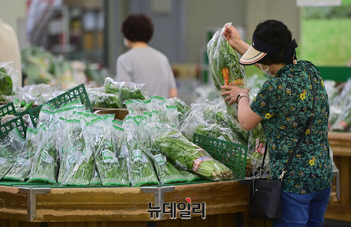 ▲ ⓒ뉴데일리DB