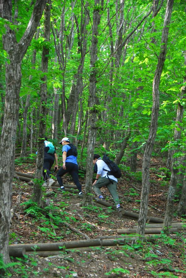 ▲ 참나무 숲길을 오르는 젊은 산객들.ⓒ진경수 山 애호가