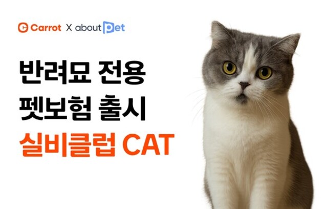 ▲ ⓒ캐롯손해보험