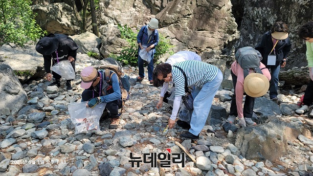 ▲ 내연산 탐방을 마친 참가자들이 하산 도중 플로깅을 실천하고 있다.ⓒ뉴데일리