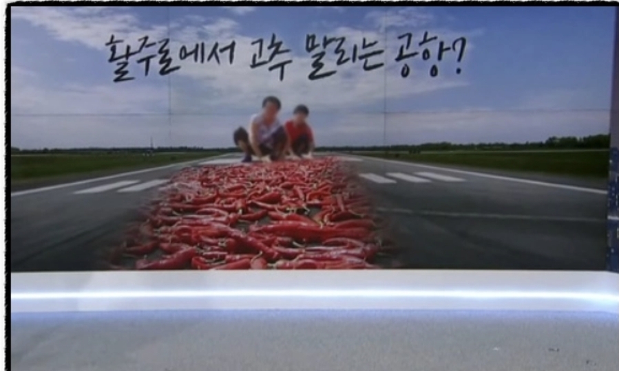 ▲ 이런 합성사진도 무분별한 공항건설의 문제점을 한 눈에 보여준다.