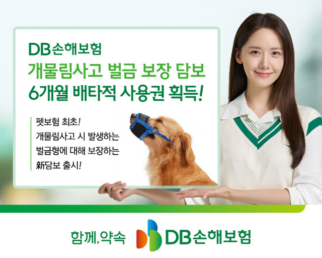 ▲ ⓒDB손해보험