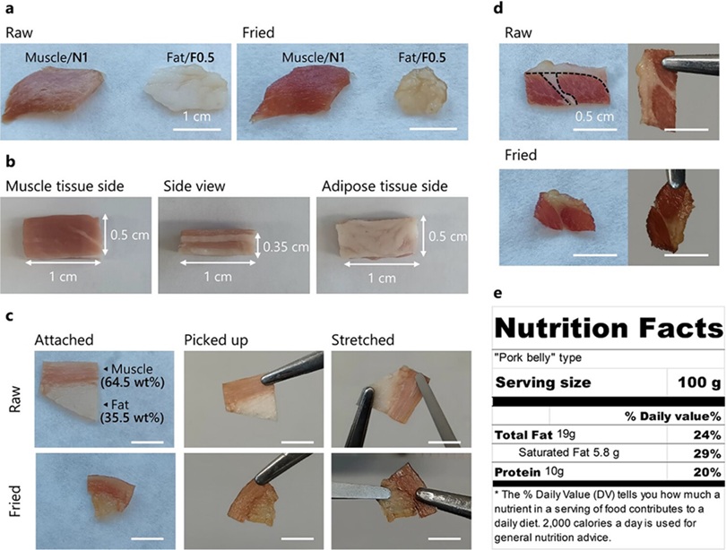 ▲ 자가치유형 지지체로부터 배양한 근육, 지방 세포 및 ‘마블링’ 배양육 제조 결과물.ⓒ서강대