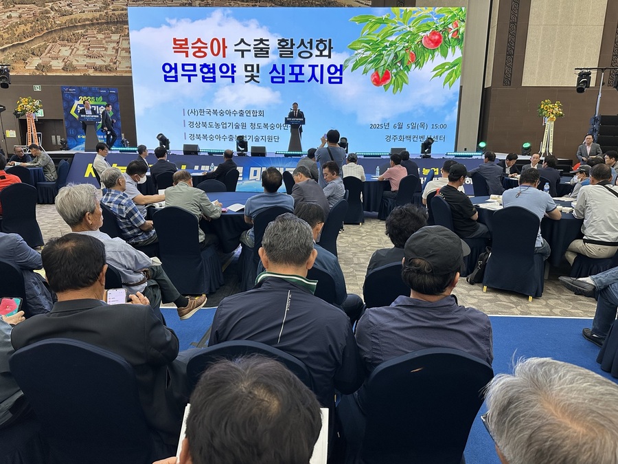 ▲ 경상북도농업기술원은 5일 경주화백컨벤션센터에서 국내 복숭아 산업의 위기 극복과 수출 활성화를 위한 ‘수출용 복숭아 수체관리 기술 심포지엄’을 열고, 청도복숭아연구소, (사)한국복숭아수출연합회, 경북복숭아수출농업기술지원단 3자 간 업무 협약을 맺었다.ⓒ경북도