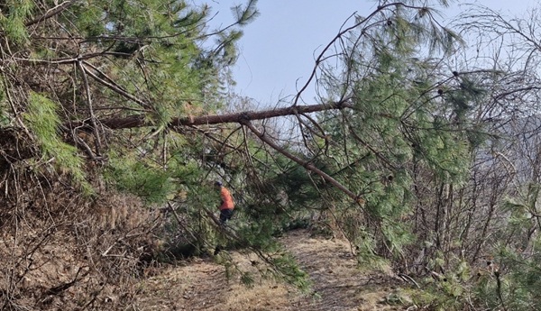 ▲ 집중호우와 산사태에 대비해 상천가덕임도 등 12개소, 총 104.5km 구간에 대한 임도 안전점검에 들어갔다.ⓒ부여
