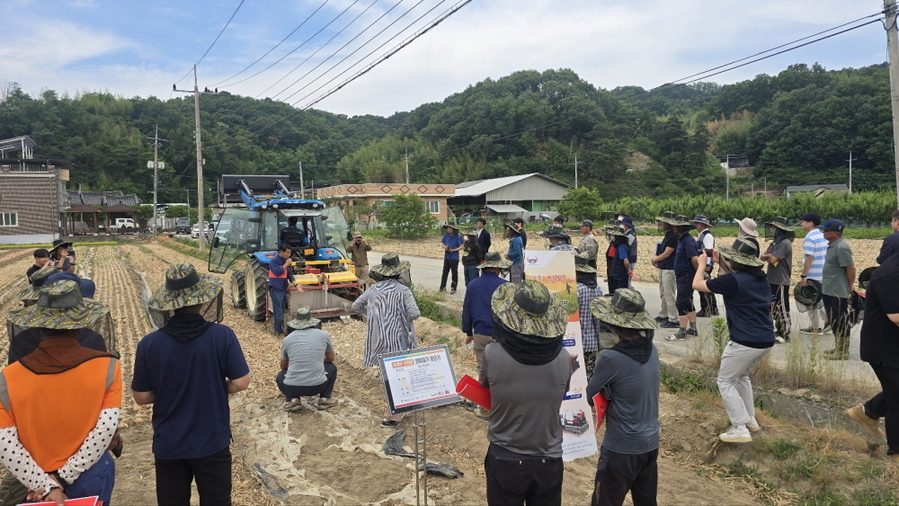 ▲ 기계화 양파수확 장면ⓒ