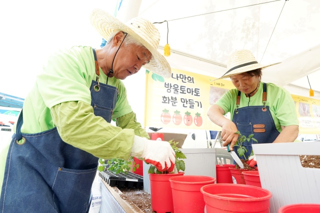 ▲ 지난해 열린 퇴촌 토마토 거리 축제에서 토마토 화분 만들기를 하고 있는 시민들. ⓒ광주시 제공