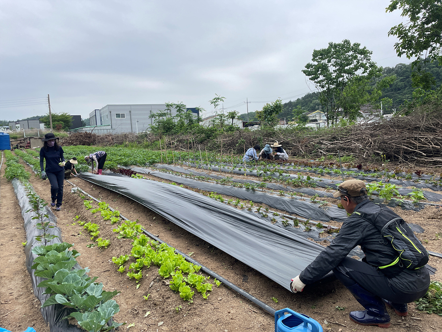 ▲ 대구광역시농업기술센터(소장 오명숙)는 올 3월 6일부터 11월 20일까지 농업현장에서 주로 이루어지는 실습 위주의 ‘나도농부’ 교육프로그램을 운영, 예비농업인 교육생으로부터 큰 호응을 얻고 있다.ⓒ대구시